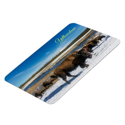 Yellowstone Magnet Magneet (Linkerzijde)