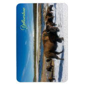 Yellowstone Magnet Magneet (Verticaal)