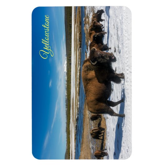Yellowstone Magnet Magneet (Verticaal)