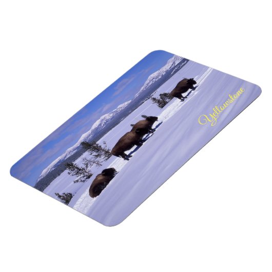 Yellowstone Magnet Magneet (Linkerzijde)