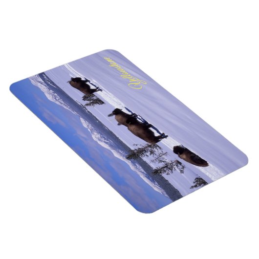 Yellowstone Magnet Magneet (Rechterzijde)