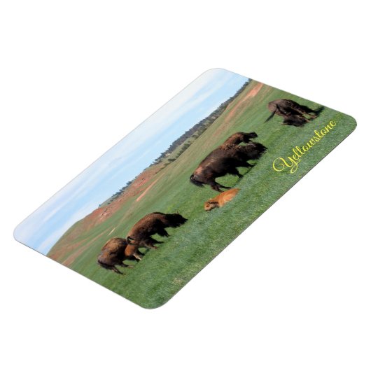 Yellowstone Magnet Magneet (Linkerzijde)