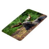 Yellowstone Magnet-Moose Magneet (Linkerzijde)