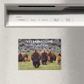 Yellowstone Magnet National Park Bizon Buffalo (Insitu (Vaatwasser))