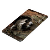 Yellowstone Magnet-Raccoon Magneet (Linkerzijde)