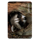 Yellowstone Magnet-Raccoon Magneet (Verticaal)
