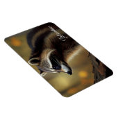 Yellowstone Magnet-Raccoon Magneet (Rechterzijde)