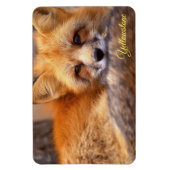Yellowstone Magnet-Red Fox Magneet (Verticaal)