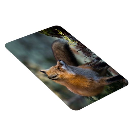 Yellowstone Magnet-Red Fox Magneet (Rechterzijde)