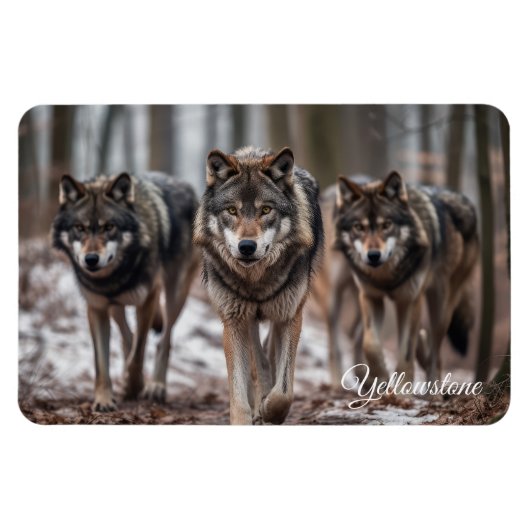 Yellowstone Magnet-Wolves Magneet (Horizontaal)