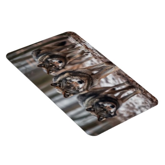 Yellowstone Magnet-Wolves Magneet (Rechterzijde)