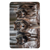 Yellowstone Magnet-Wolves Magneet (Verticaal)