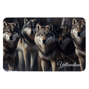 Yellowstone Magnet-Wolves Magneet