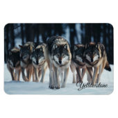 Yellowstone Magnet-Wolves Magneet (Horizontaal)