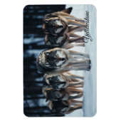 Yellowstone Magnet-Wolves Magneet (Verticaal)
