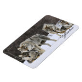 Yellowstone Magnet-Wolves Magneet (Linkerzijde)