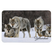 Yellowstone Magnet-Wolves Magneet (Horizontaal)