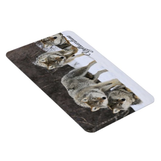 Yellowstone Magnet-Wolves Magneet (Rechterzijde)