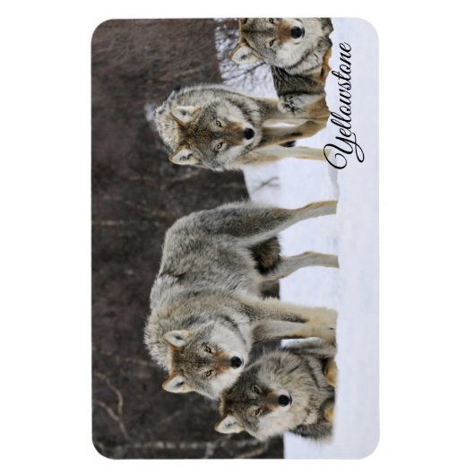 Yellowstone Magnet-Wolves Magneet (Verticaal)