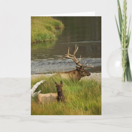 Yellowstone Mates Kaart (Voorkant)