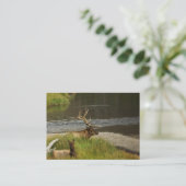 Yellowstone Mates Mini Print Visitekaartje (Staand voorkant)