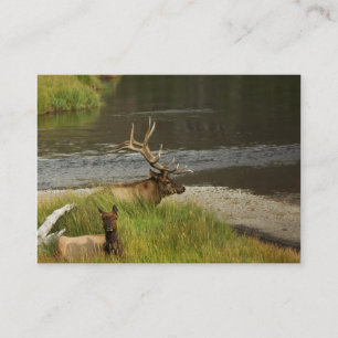 Yellowstone Mates Mini Print Visitekaartje