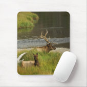 Yellowstone Mates Mousepad Muismat (Met muis)