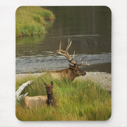 Yellowstone Mates Mousepad Muismat (Voorkant)