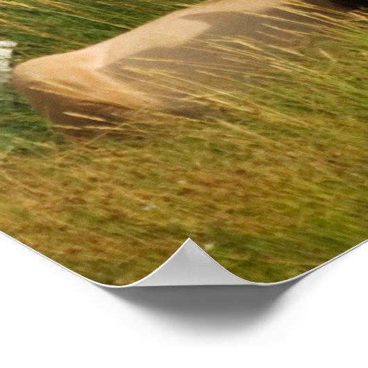 Yellowstone Mates Print (Hoek)