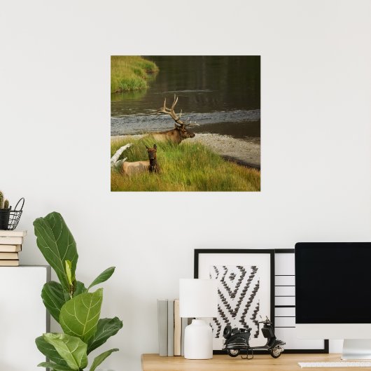 Yellowstone Mates Print (Thuiskantoor)