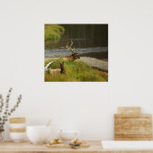 Yellowstone Mates Print (Keuken)