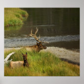 Yellowstone Mates Print (Voorkant)