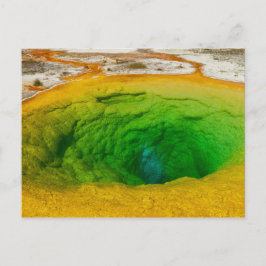 Yellowstone - Morning Glory Pool briefkaart