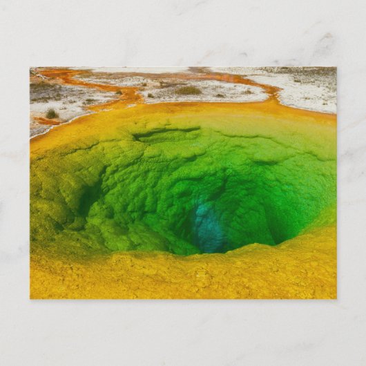 Yellowstone - Morning Glory Pool briefkaart (Voorkant)