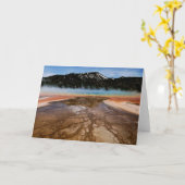 YELLOWSTONE NATIONAAL PARK, GROTE PRISMATISCH KAART (Gele Bloem)
