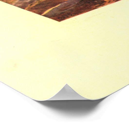 Yellowstone National Park 1910 Panoramic Map Poster (Hoek)