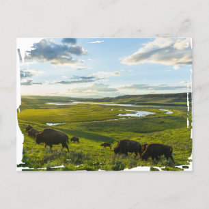 Yellowstone National Park Ansichtkaart Briefkaart