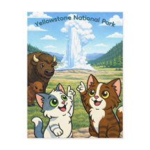Yellowstone National Park ansichtkaart