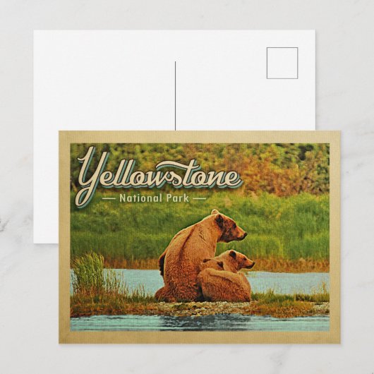 Yellowstone National Park Beren  Briefkaart (Voorkant / Achterkant)