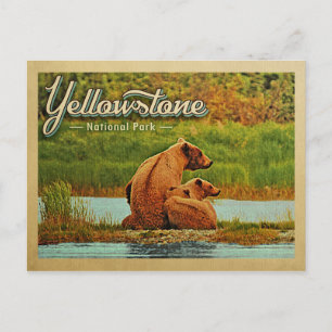 Yellowstone National Park Beren  Briefkaart