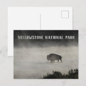 Yellowstone National Park, Bison in Lake, Wyoming Briefkaart (Voorkant / Achterkant)