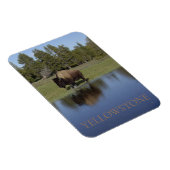 Yellowstone National Park Bison Magneet (Rechterzijde)