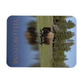 Yellowstone National Park Bison Magneet (Horizontaal)