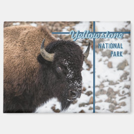 Yellowstone National Park Bison Souvenir Gift Magneet