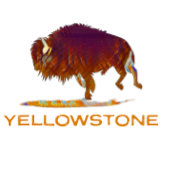 Yellowstone National Park Bison T-shirt