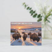 Yellowstone National Park bizon Briefkaart (Staand voorkant)
