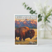 Yellowstone National Park bizon Briefkaart (Staand voorkant)