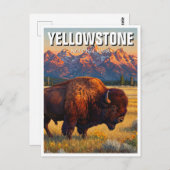 Yellowstone National Park bizon Briefkaart (Voorkant / Achterkant)