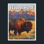 Yellowstone National Park bizon Briefkaart<br><div class="desc">Yellowstone National Park is een enorm en ontzagwekkend natuurwonder, bekend om zijn geothermische kenmerken, prachtige landschappen en diverse dieren in het wild. Hier is een glimp van wat dit park zo speciaal maakt: Geothermische wonderen: Yellowstone is de thuisbasis van meer geisers dan waar dan ook op aarde, inclusief de iconische...</div>