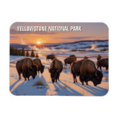 Yellowstone National Park bizon Magneet (Horizontaal)